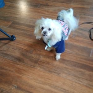 Meet your Posher, Laurie